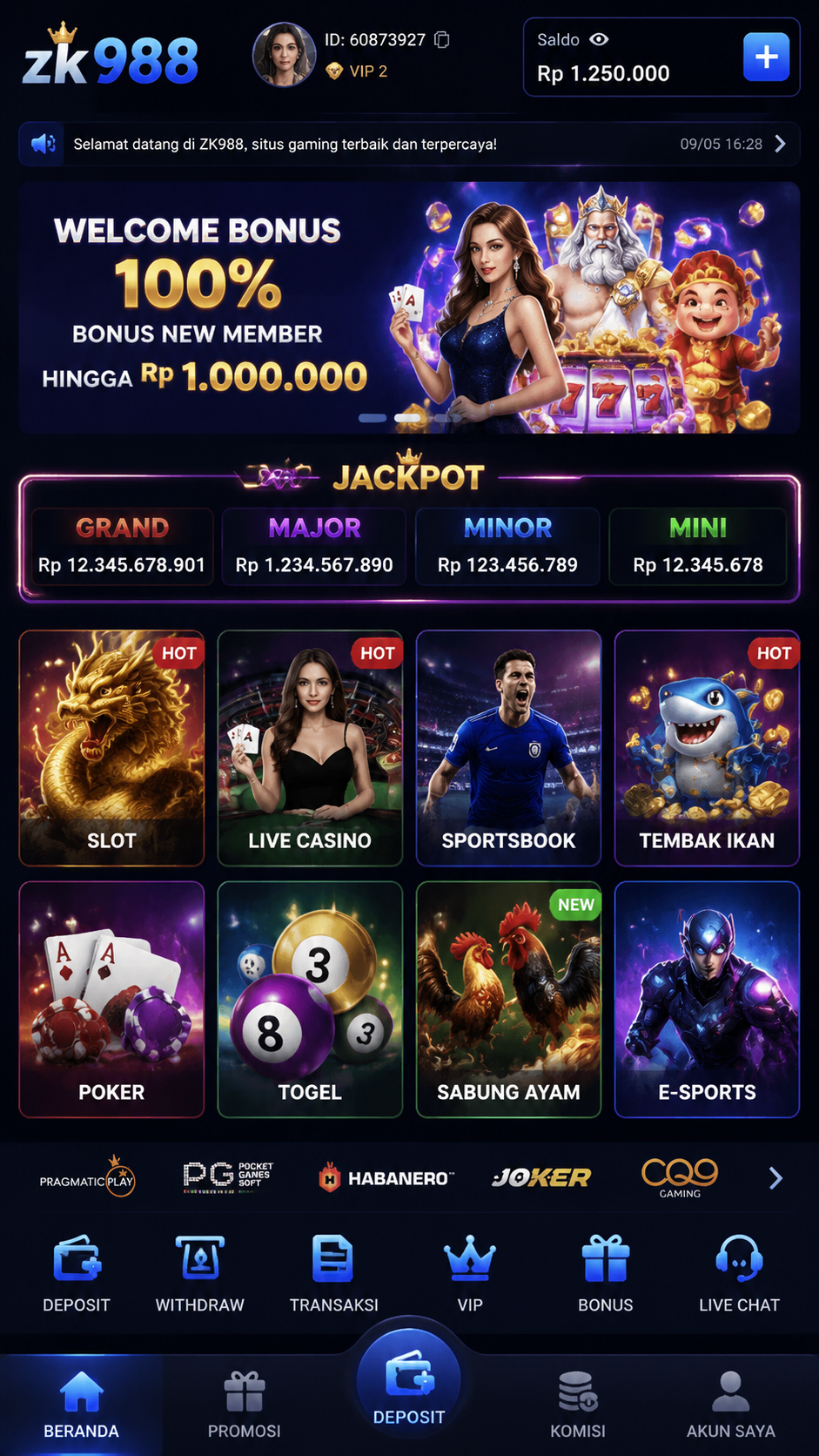 Screenshot 1 zk988